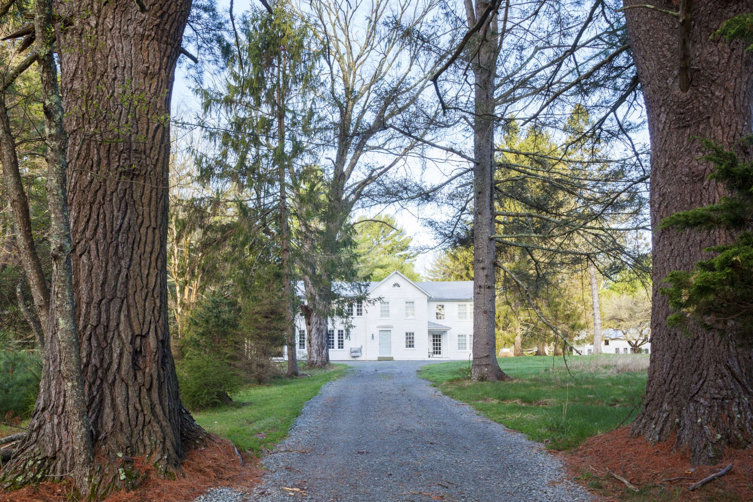 The road to the farmhouse.