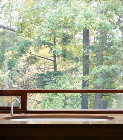 bathing in the trees: 14