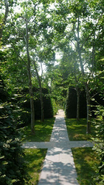 long island: allée of sycamores.: the paved path below the sycamores leads 14