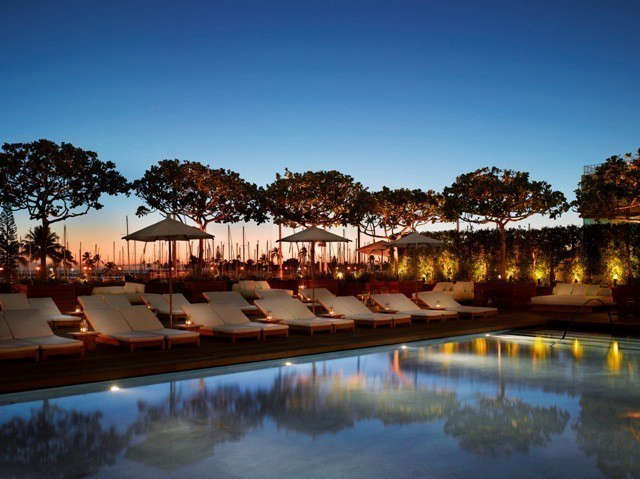 waikiki marriott edition hotel: the silhouettes of indigenous autograph trees a 16