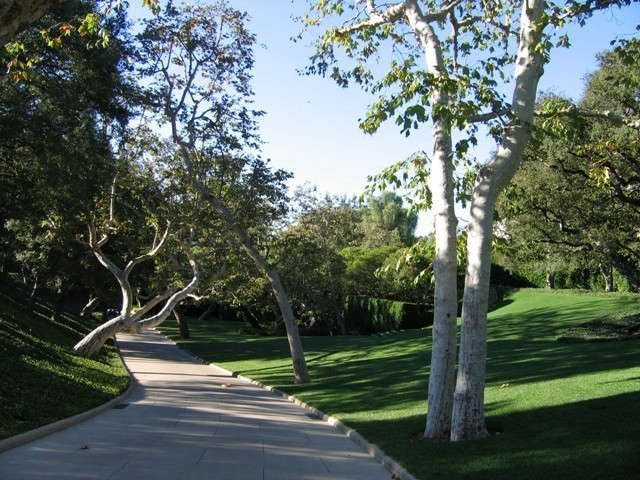 \10 acre southern california residence.: plane trees cast a dappled shade acros 15