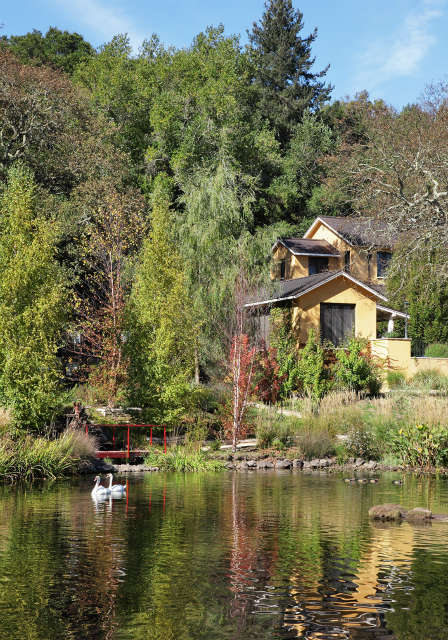 rancho minerio, sonoma county, ca 119