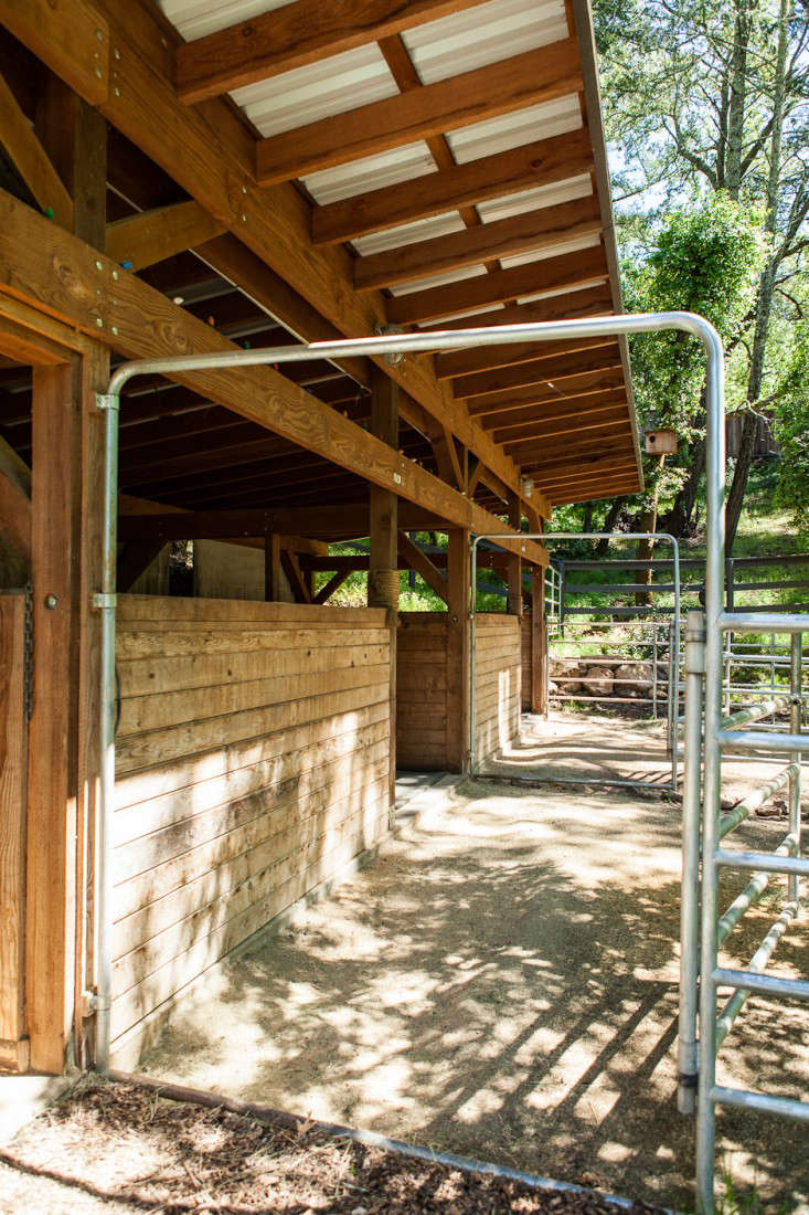 Stable Chic in the Napa Valley portrait 4