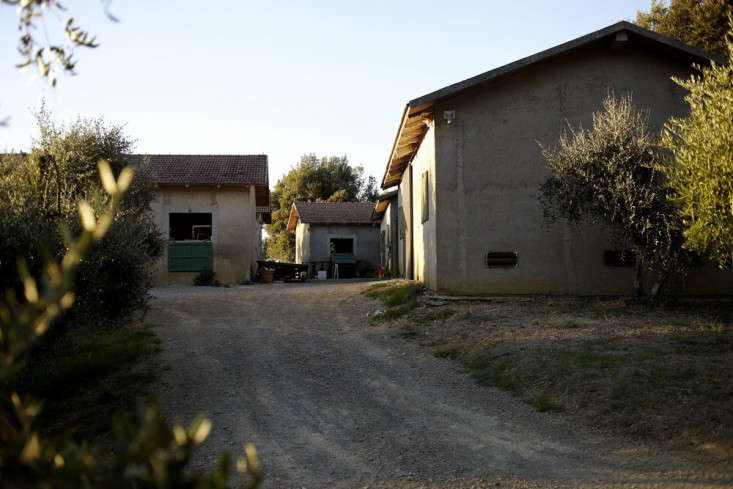 Villa Lena A New Creative Hub and Hotel in Tuscany portrait 16