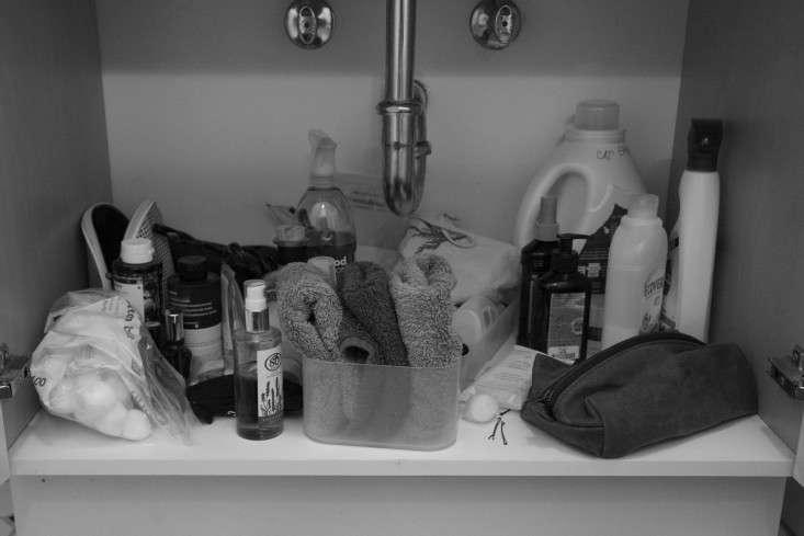 5 Tips for UndertheSink Organization portrait 9