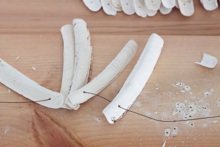threading 20 the 20 razor 20 clam 20 shells