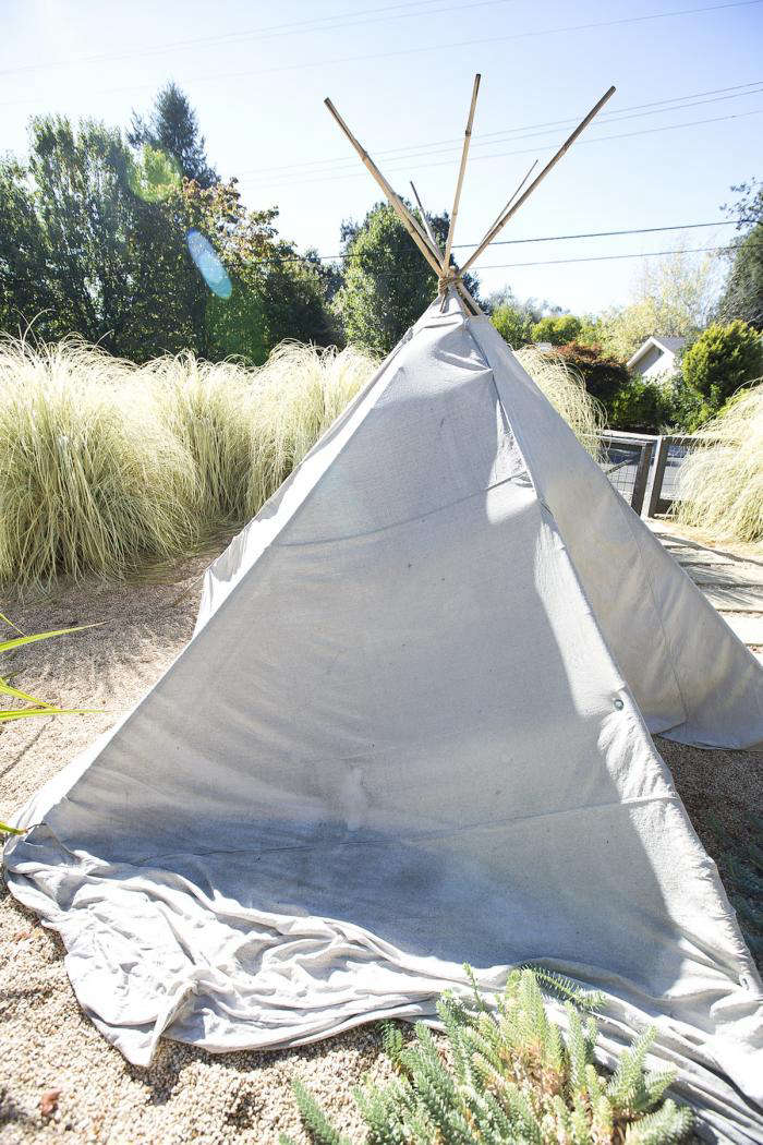 How to Know When Your Garden Needs a Teepee portrait 4