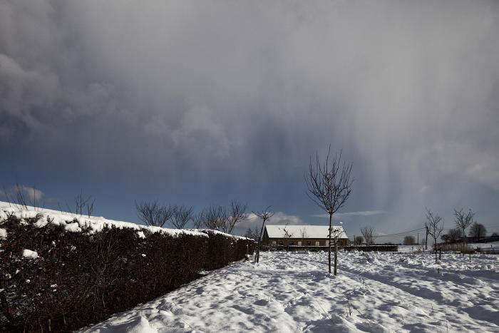 A West Flanders Barn Tells a Tale of Two Seasons portrait 12