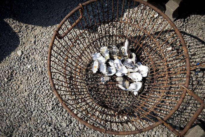 Oysters by the Bay portrait 6