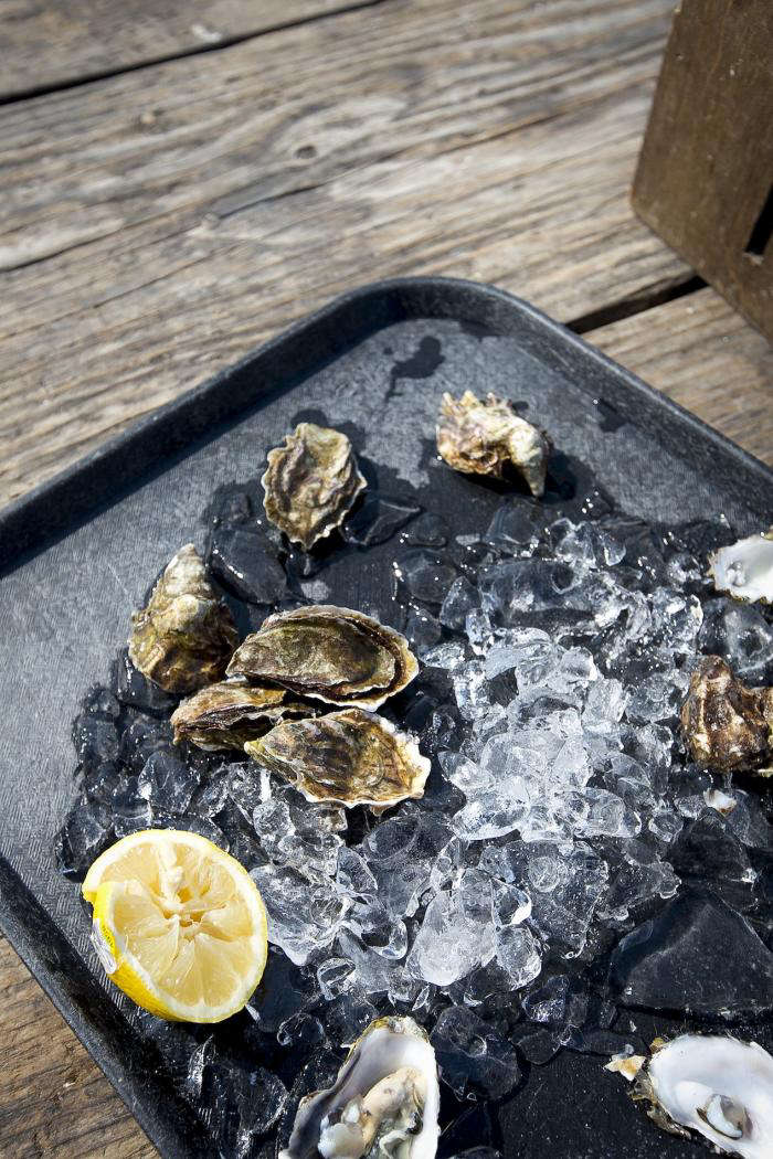 Oysters by the Bay portrait 5