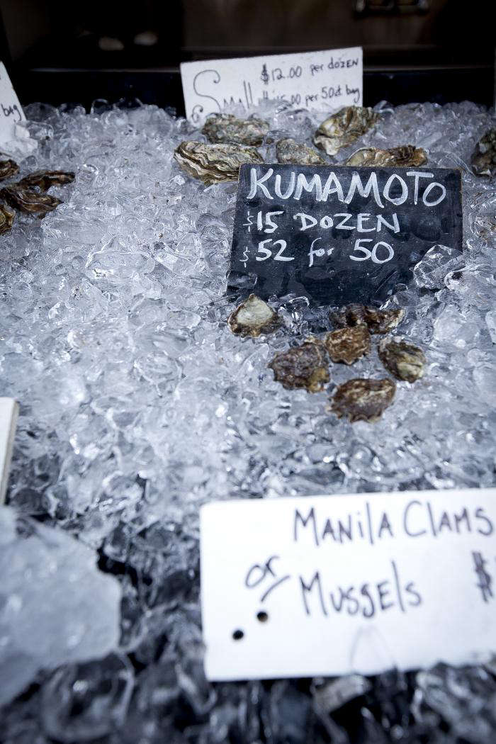 Oysters by the Bay portrait 8