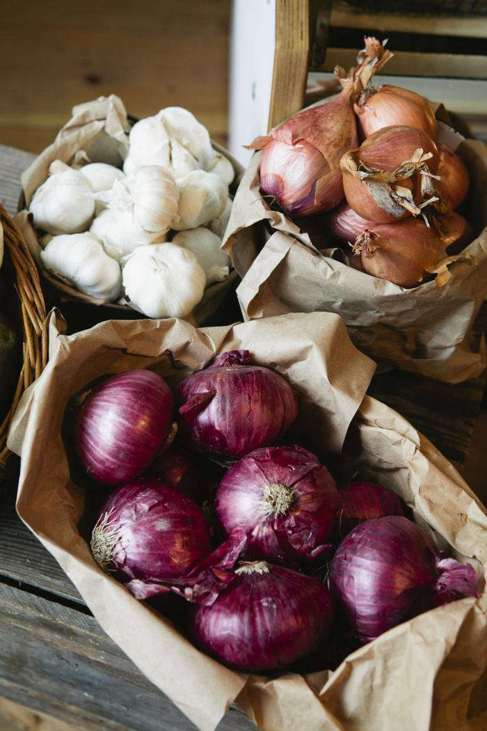 700 nicole franzen colored onions