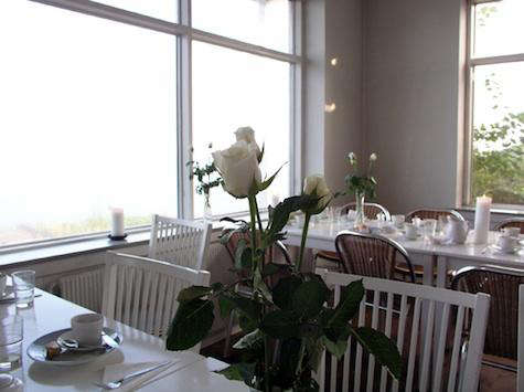 helenkilde  20  dining  20  with  20  rose