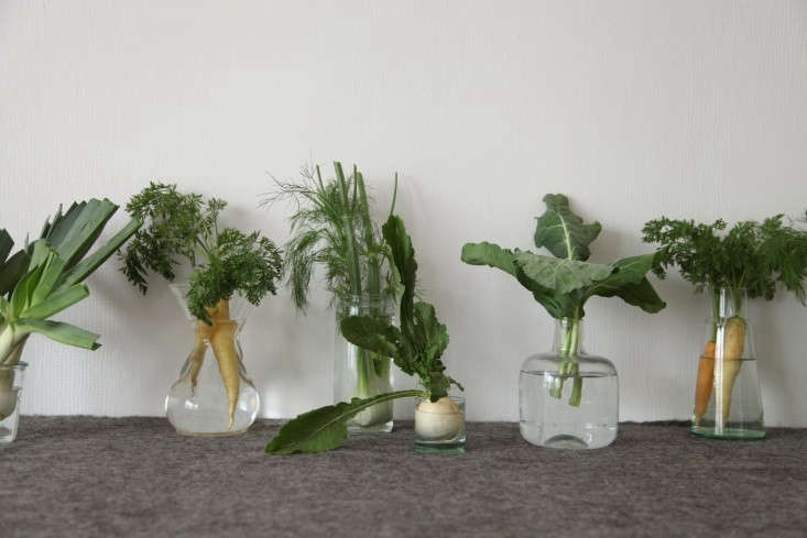 need something for the middle of the table? shop the fridge. leafy produce and  18