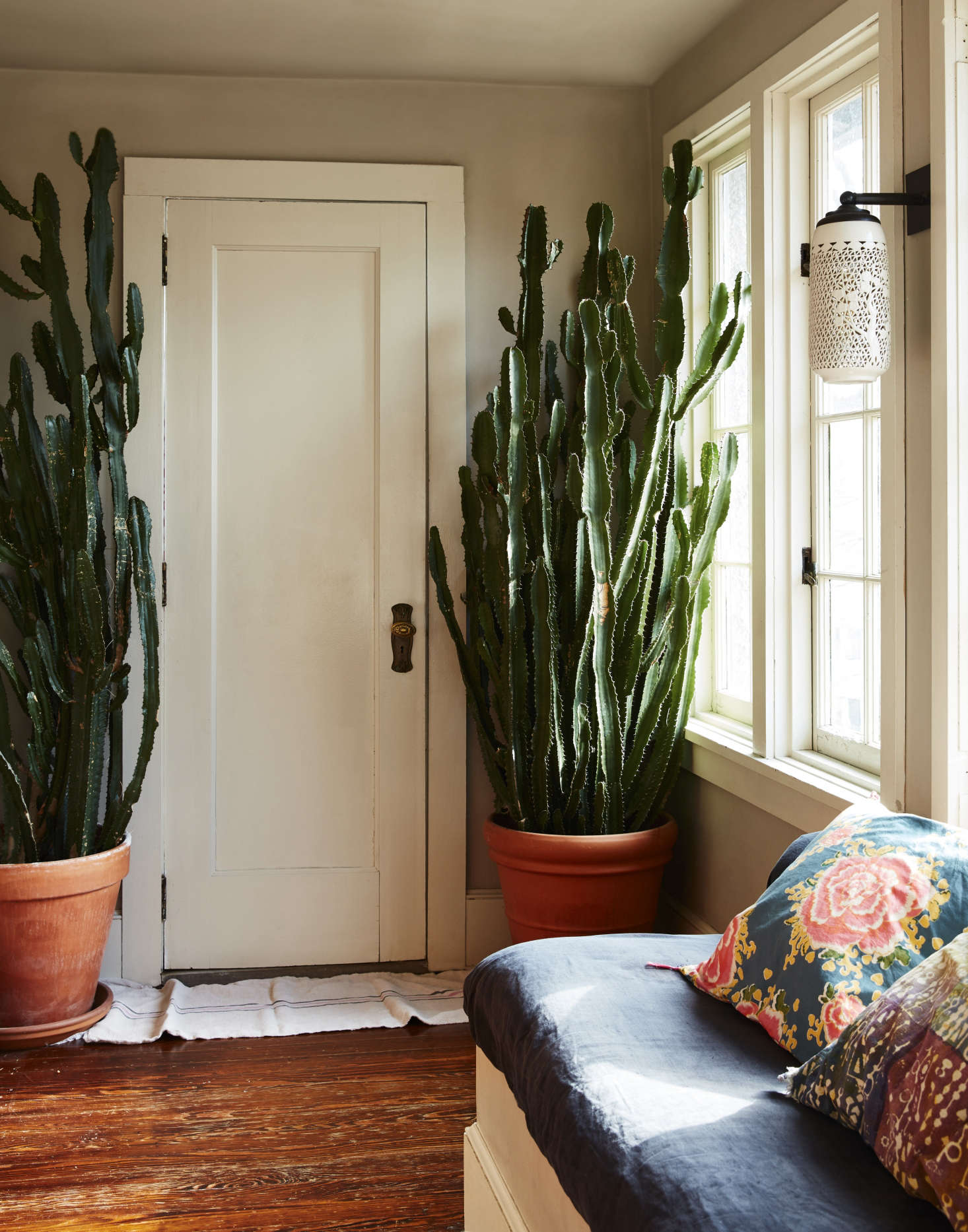 Thriving euphorbia flank the bathroom door in the sunroom. The sconce, by custom lighting studio O