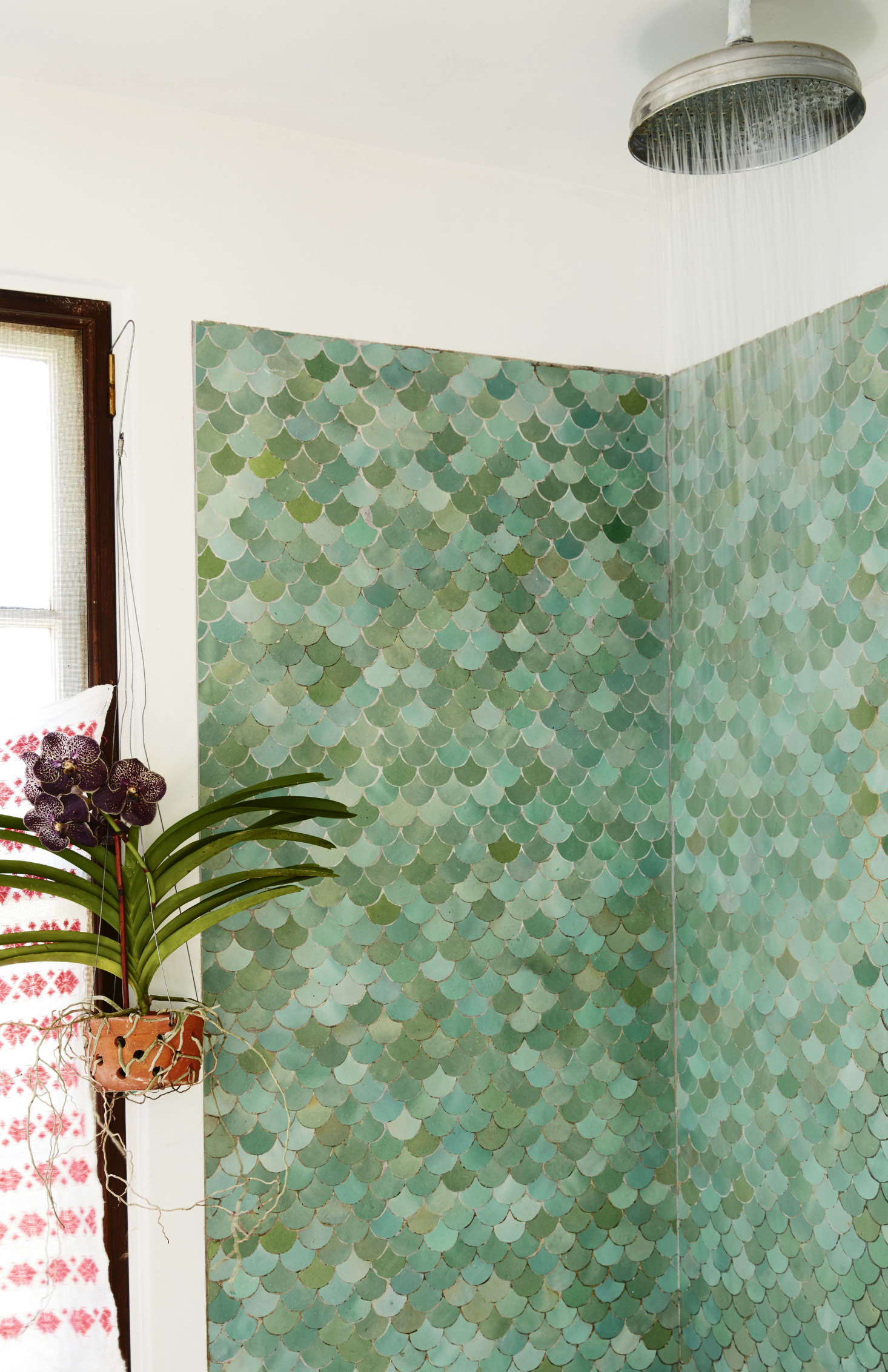 Moroccan glazed fish-scale tile and a Vanda orchid in the downstairs bath.