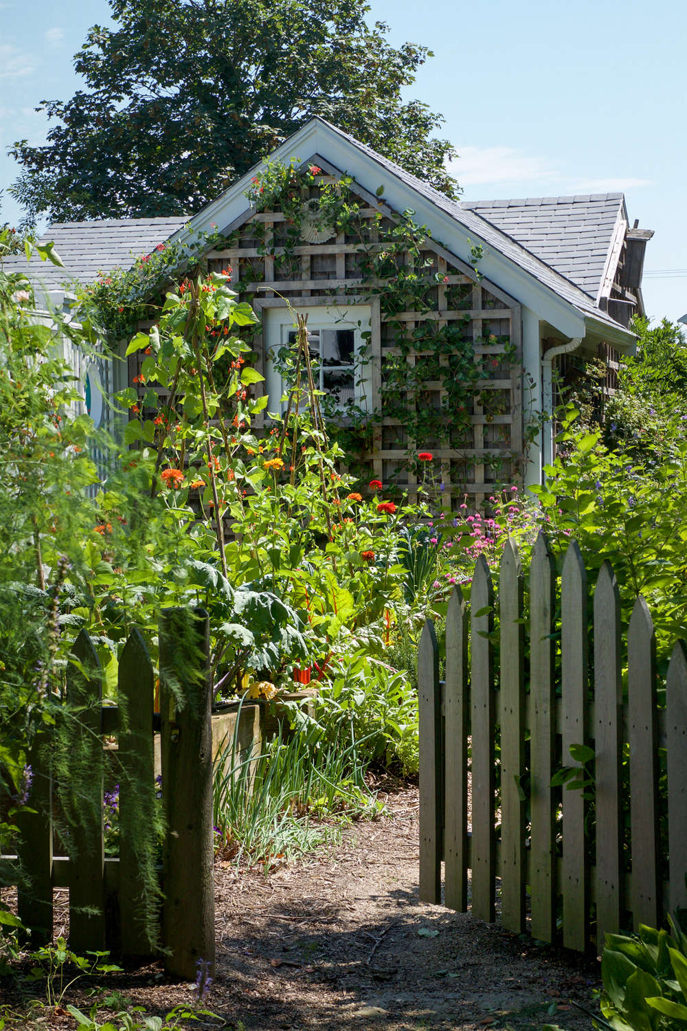 Photograph from Garden Ideas to Steal from Provincetown on Cape Cod on Gardenista.
