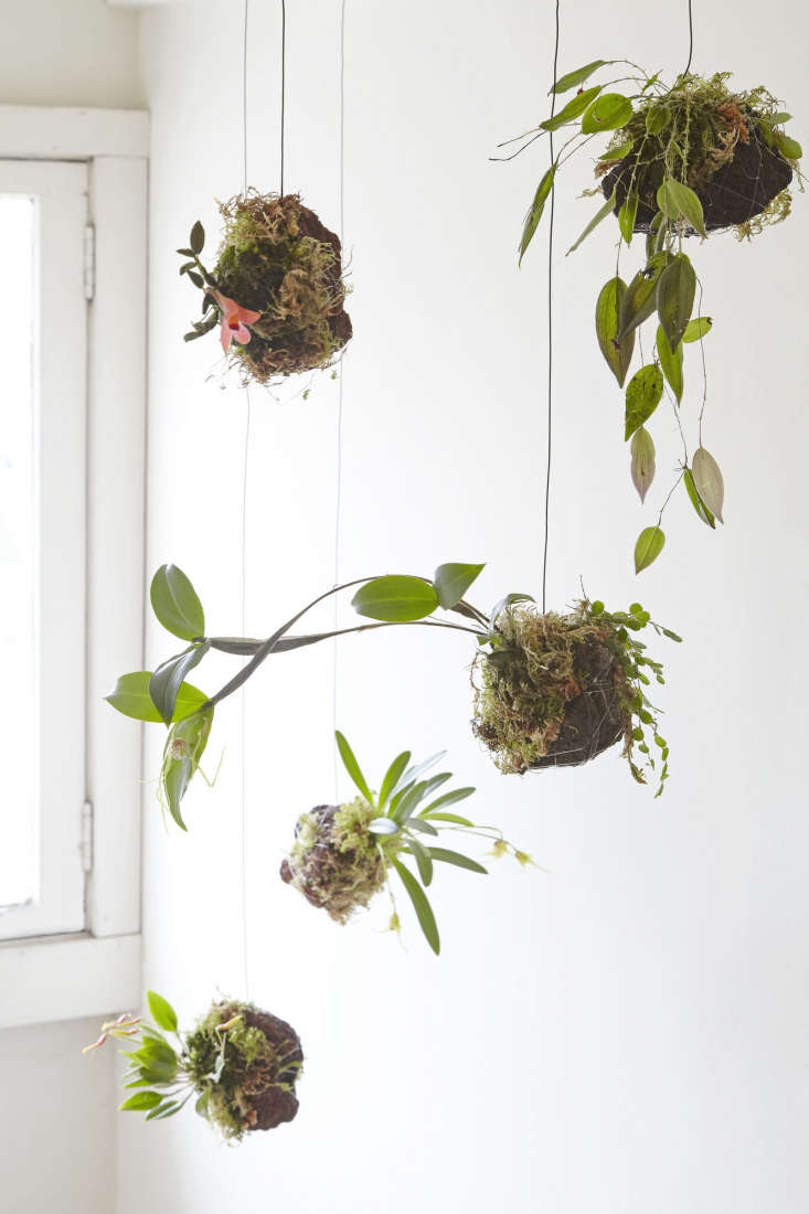 on our list of saturday to dos: diving into plant diys like this hanging o 21