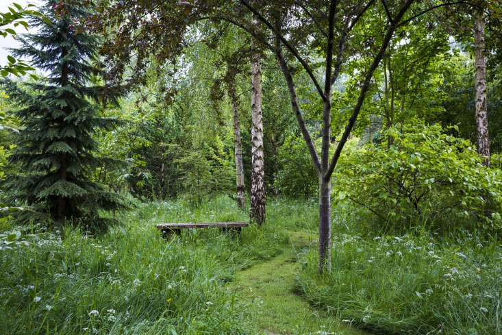 for the introverts among us. see in praise of cozy garden nooks (plus, how to c 19