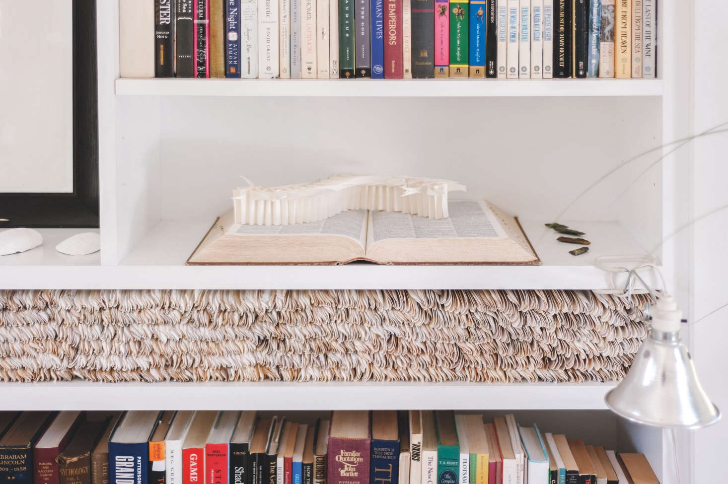 Architect Sheila Bonnell created a one-of-a-kind installation by layering razor clams on a living room shelf. Note also the paper sculpture that resembles a fish spine. See more in the Remodelista: A Manual for the Considered Home. Photograph by Matthew Williams.
