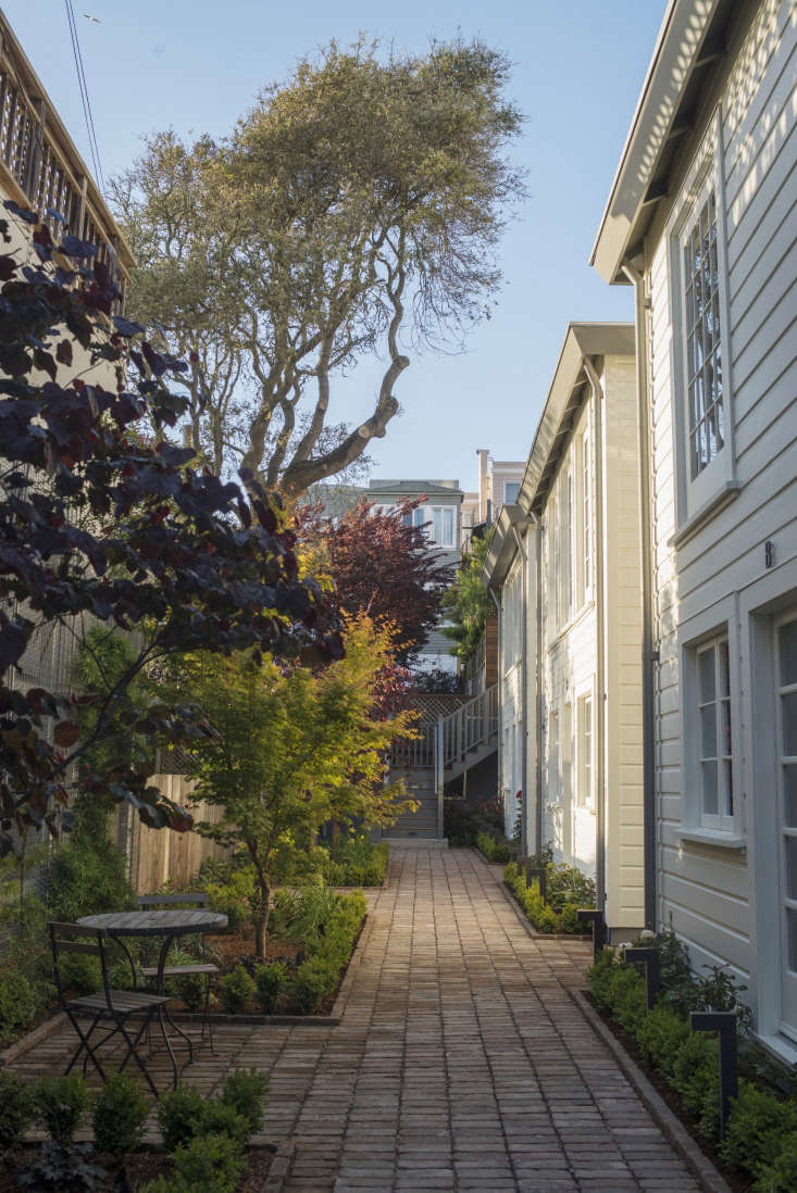 exterior garden filbert cottages san francisco brick path landscape