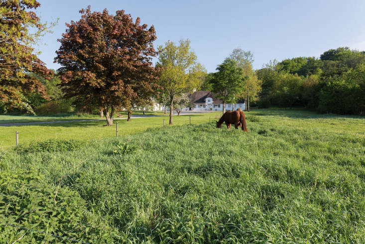 a bucolic scene in the danish countryside. 34