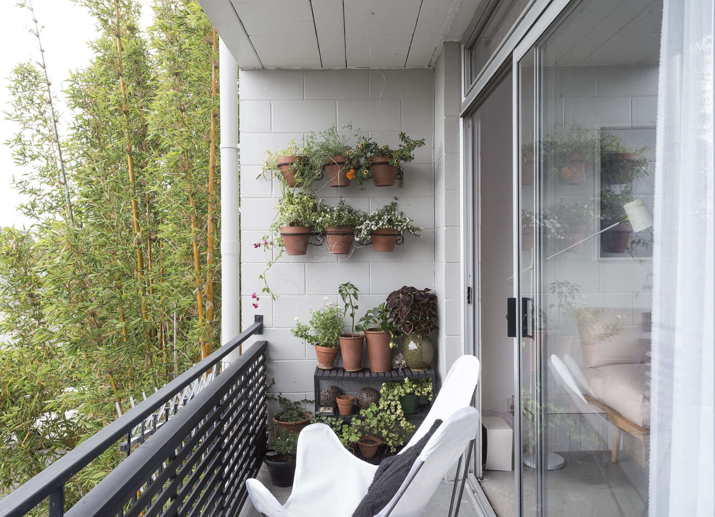 On the 75-square-foot balcony, Spath added white butterfly chairs and a vertical garden of sorts. We offer tips to Steal This Look on Gardenista today. For more ideas, see Rental Garden Makeovers: Best Budget Ideas for an Outdoor Space on Gardenista.
