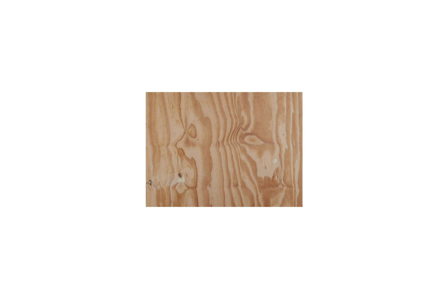 Shuttering plywood, a dense construction plywood, was the material of choice for building out the beach house. 