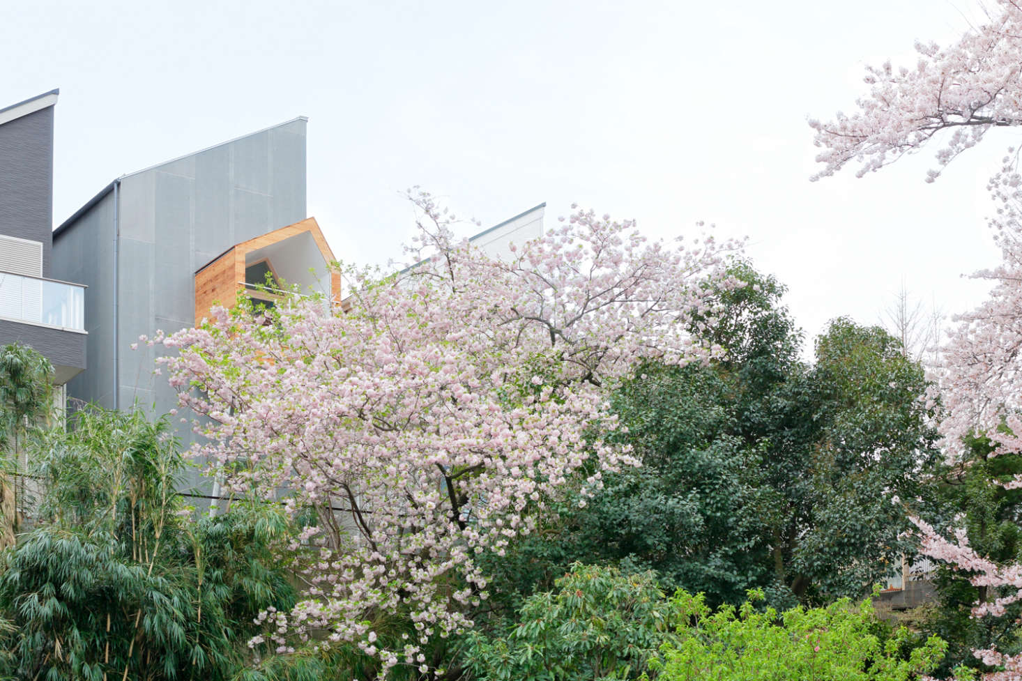 The back of the house abuts a verdant park. The structure with the wooden balcony is roughly feet wide and 3