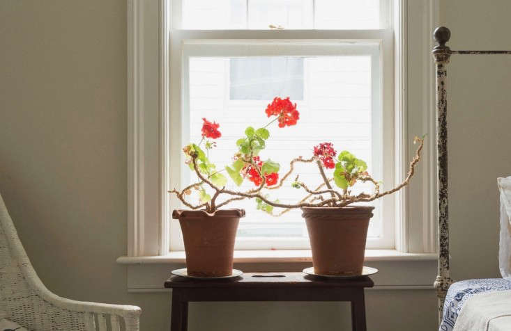 photograph by matthew williams for remodelista. 17