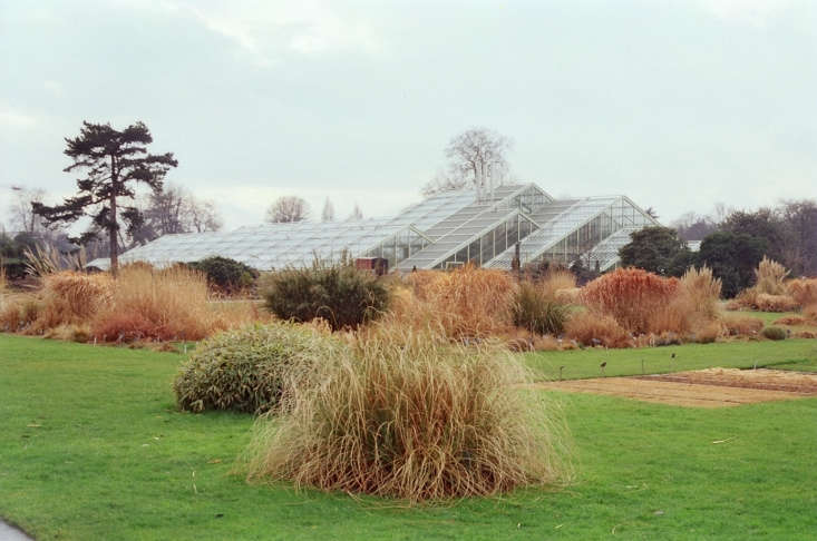 michelle uncovers \10 ideas to steal from botanical gardens around the wor 20