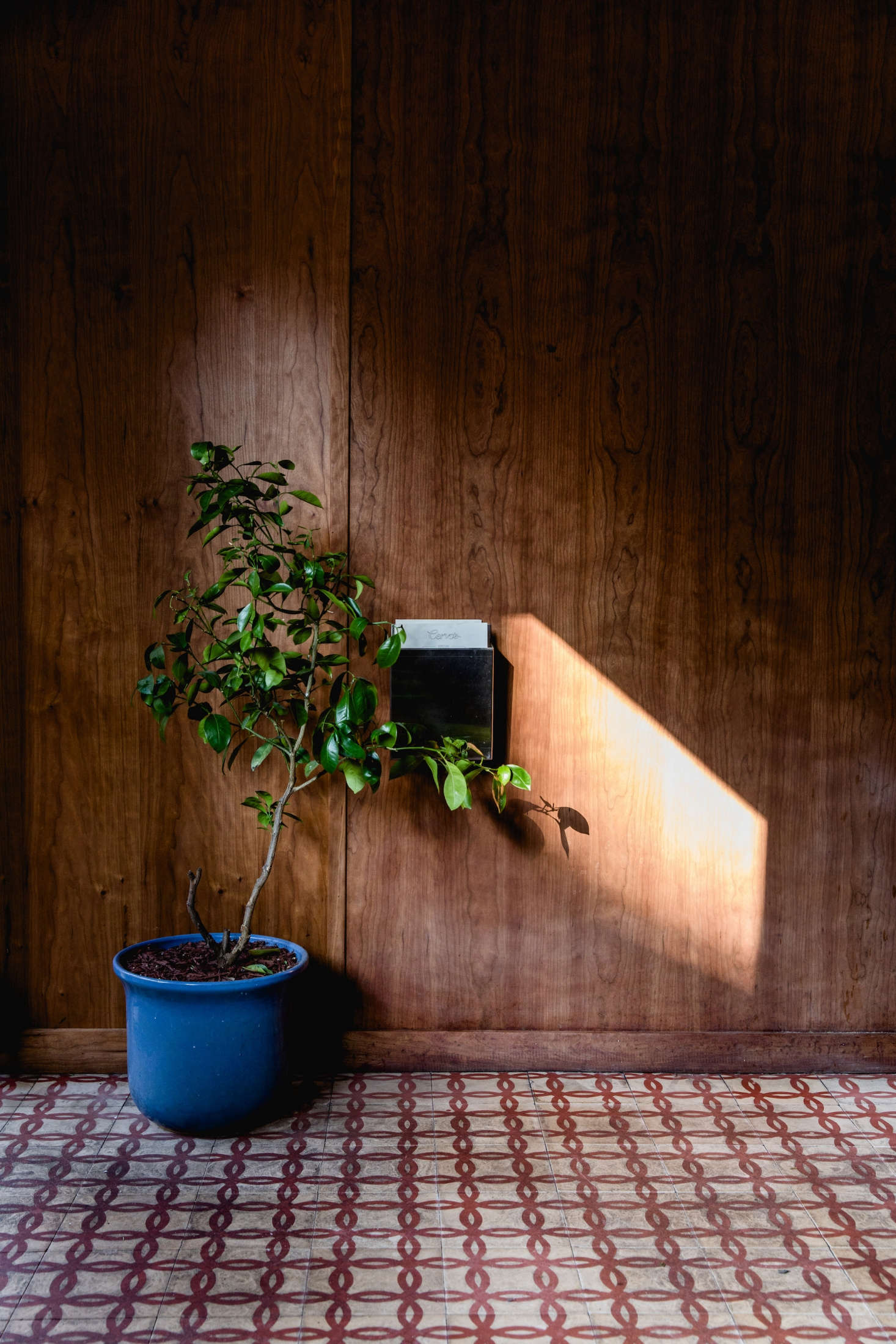 A moment of light in the front doorway.