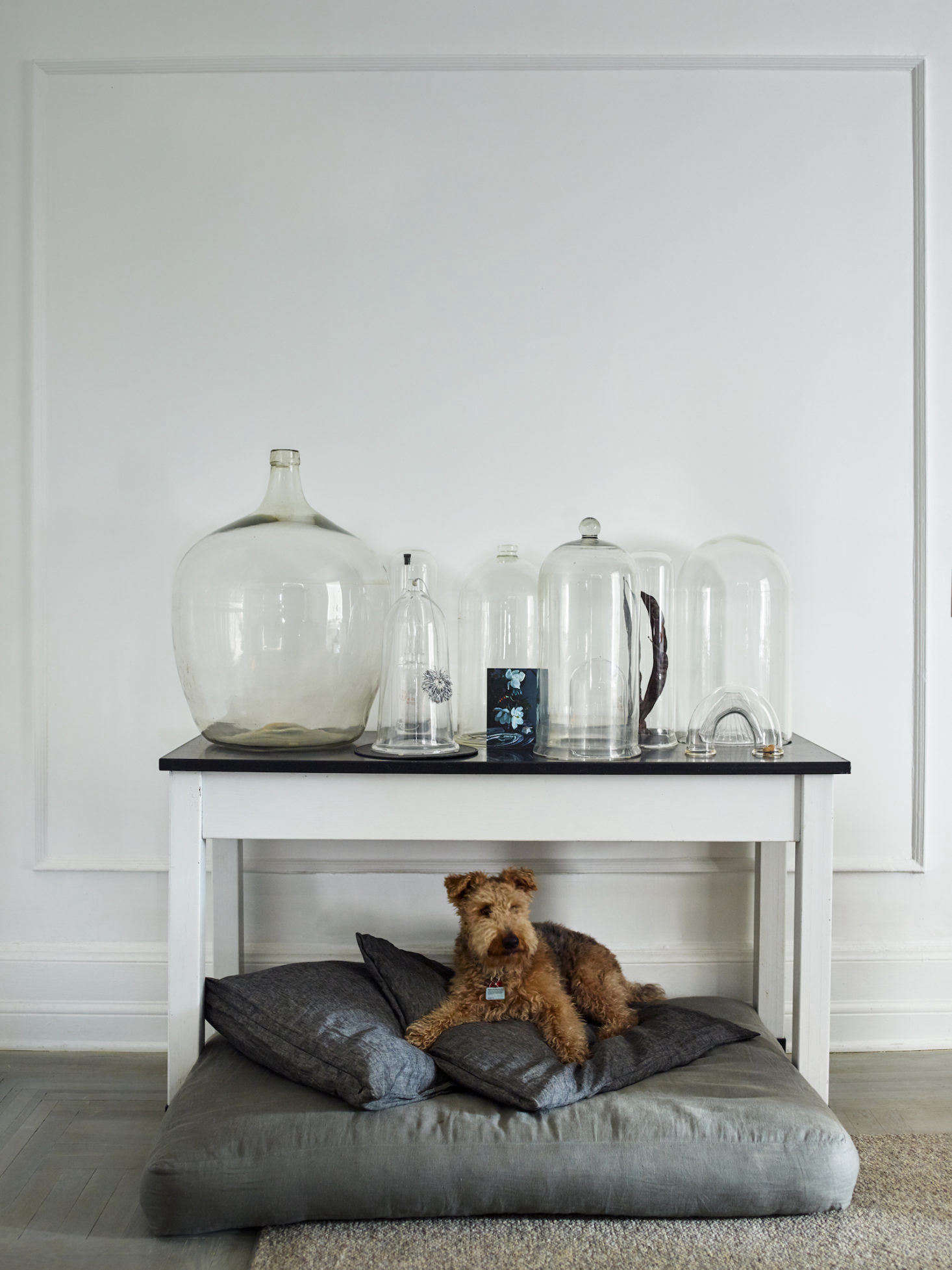 Rusty relaxes on his cushioned perch. Above him is a collection of cloches (and one giant glass jug), all sourced from various junk shops in the UK; the table on which they sit is an eBay score. The hardwood floor throughout the home is original to the apartment, but Axe and Hays had it sanded, popped (a process that opens the grain in wood flooring), primed with lye (which further enhances the grain), then stained with white oil for a washed-gray look.