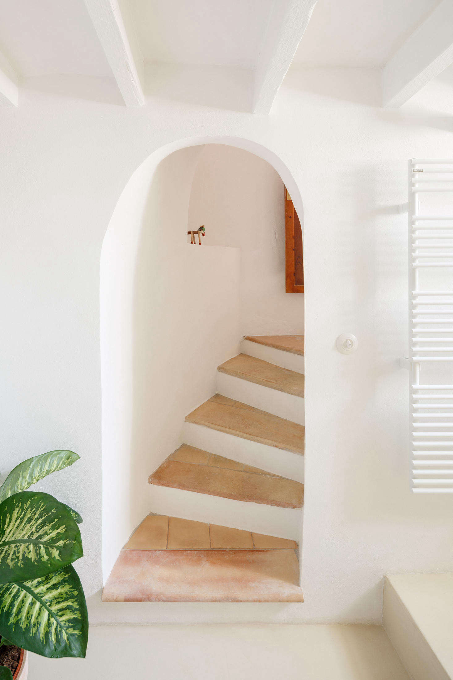 The architects painted the downstairs bath in a lime-based paint by Spanish brand Graphestone. Note the towel warmer at right—a modern luxury.