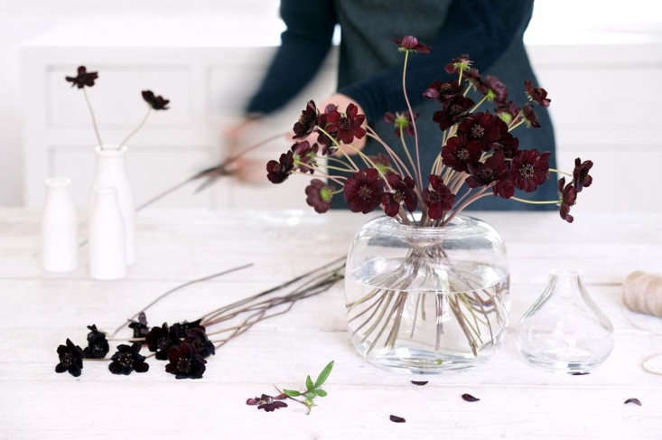 plus, a sneak peek at the london florist commissioned to do the flowers for the 20