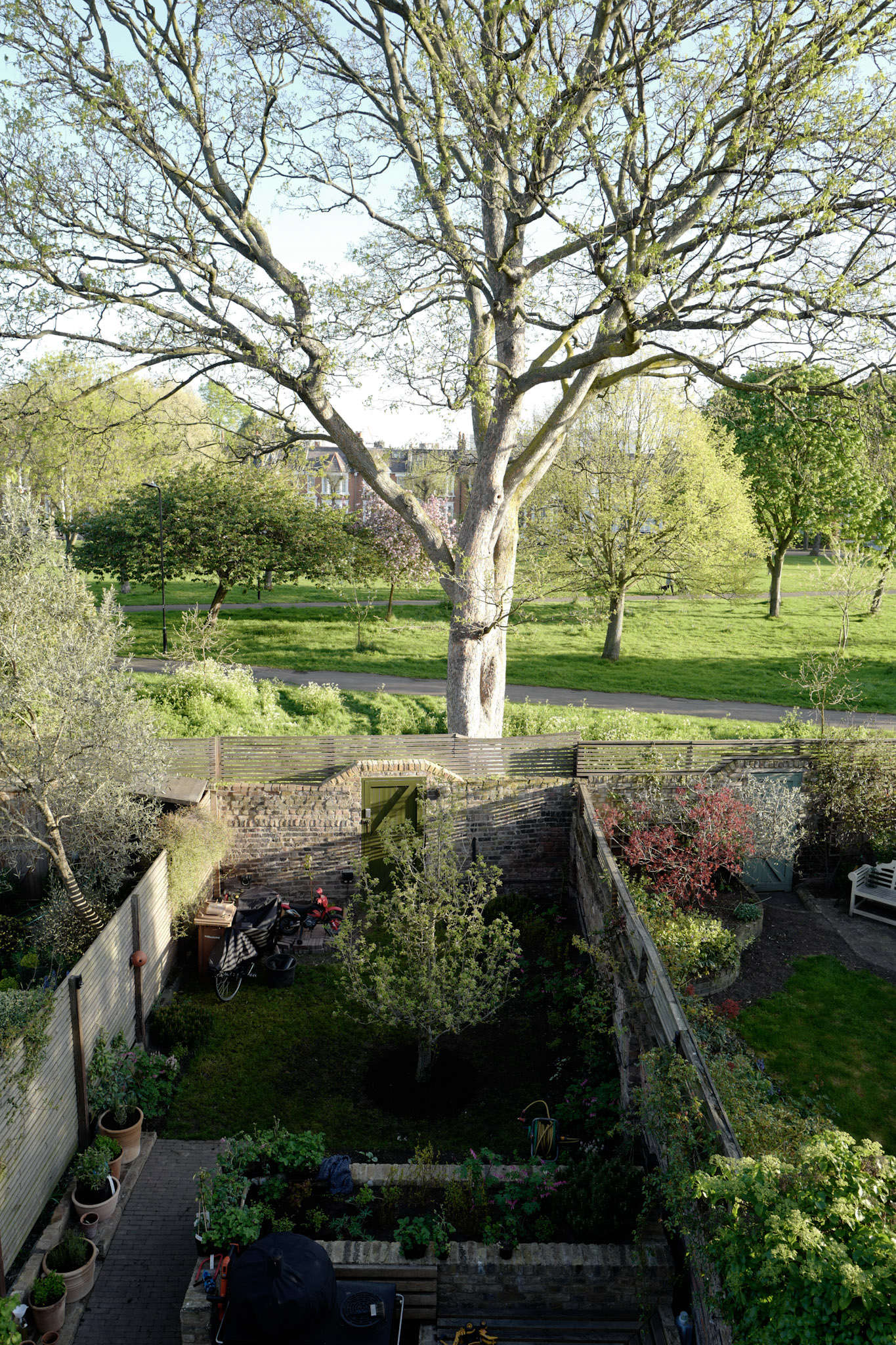 The terrace garden, now completed for spring and inspired by the Pacific Northwest (where Catherine is from originally) mixed with an English garden, with the Wells Street Common beyond. Photograph courtesy of Toke and Catherine Nygaard.