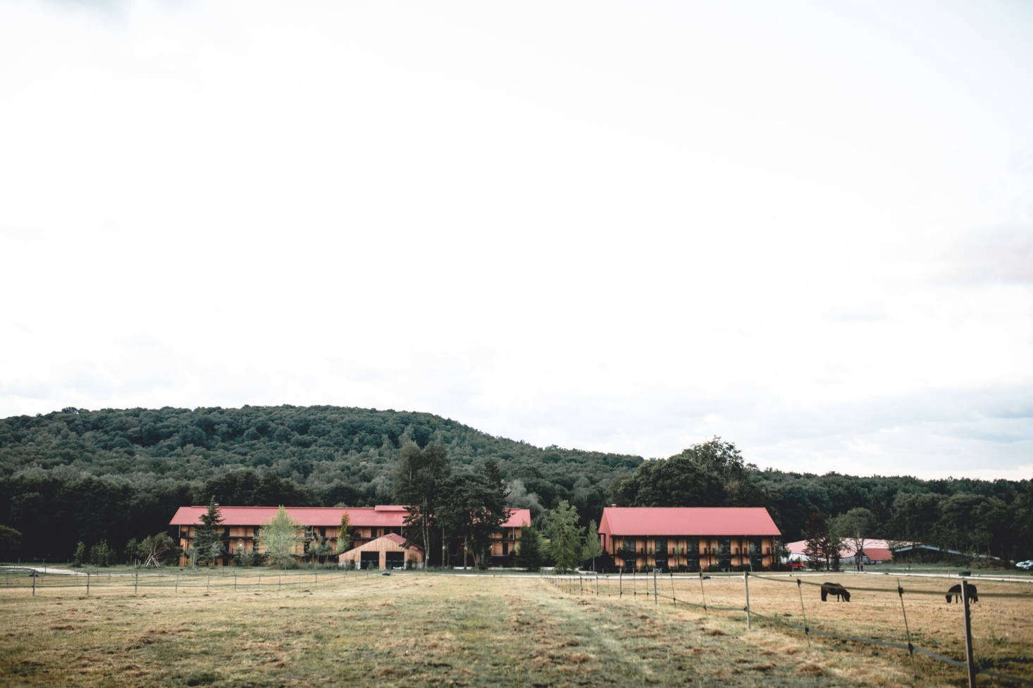 Horses are visible from just about every vista. For more details and reservations, go to Le Barn.