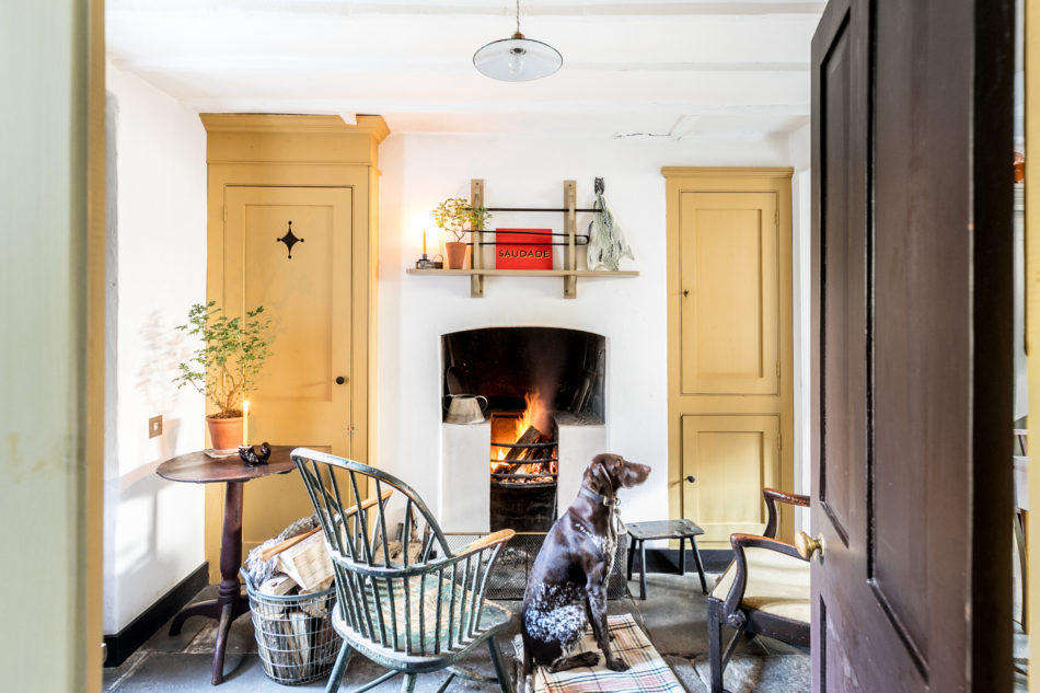 Rita sits in front of the fireplace in the back room, which also includes the kitchen, just outside the frame on the right. It