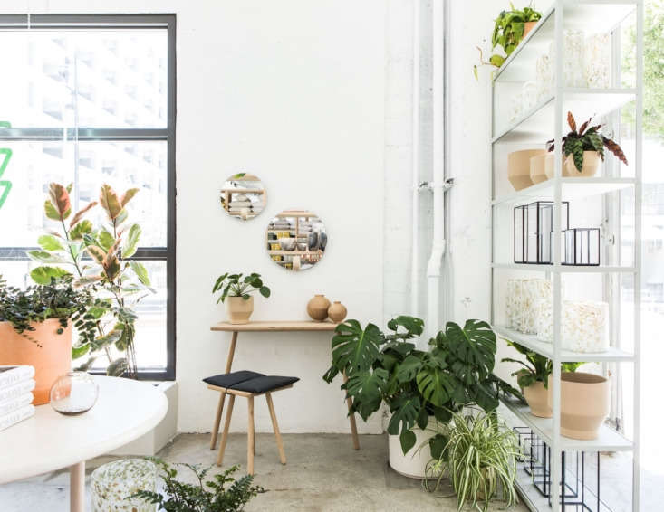 the gardening corner of the store. at right are the simple mirrored lanterns by 23