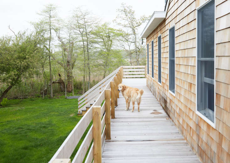 A casa foi construída em 39 como uma cabana de Verão de um quarto e acrescentada cinco vezes ao longo das décadas - o que significa que havia cinco fundações para enfrentar durante a prova de inundação (rolar até ao fim para ver mais exteriores). Mika, a família#8