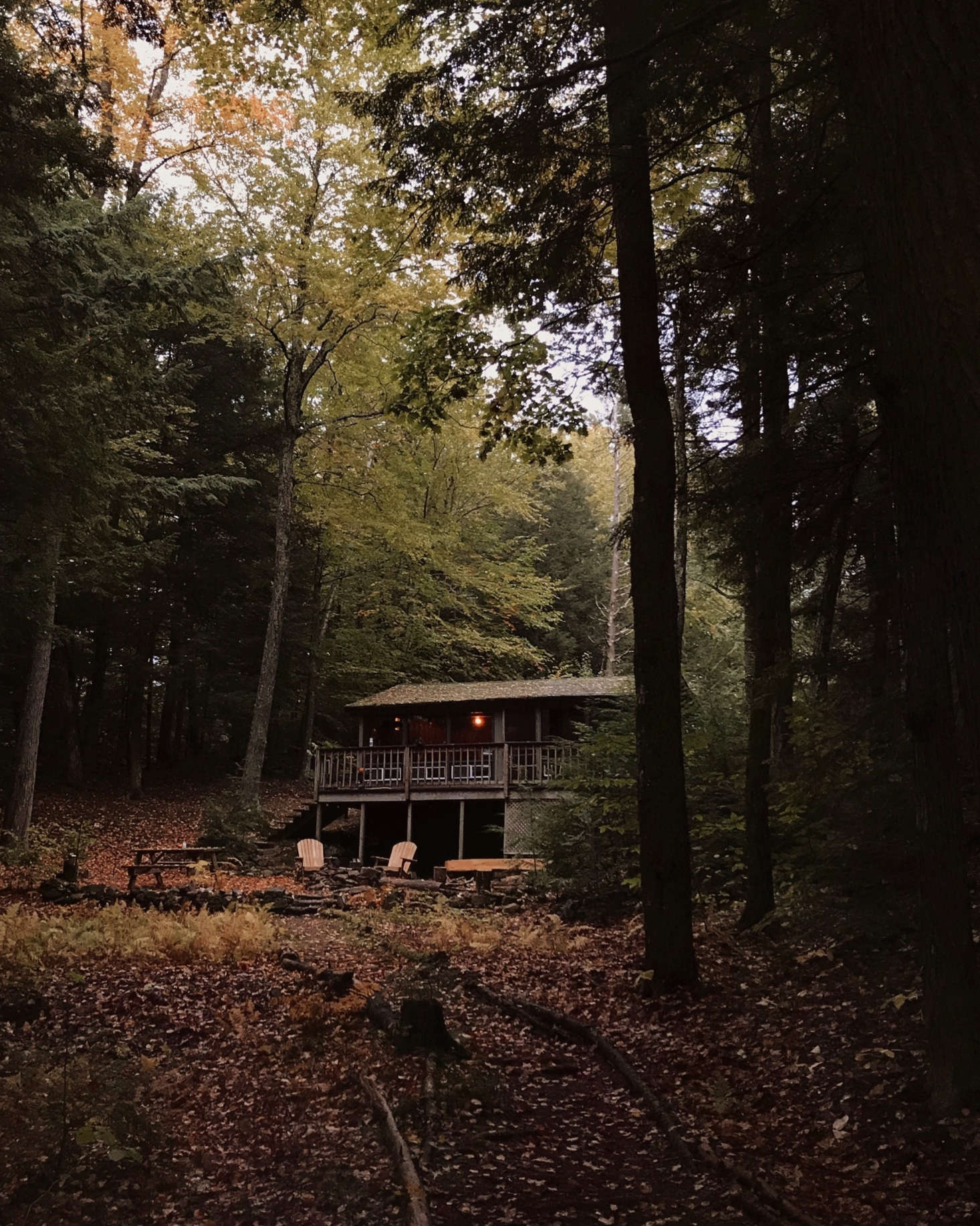 The cabin, tucked in the New Hampshire woods.