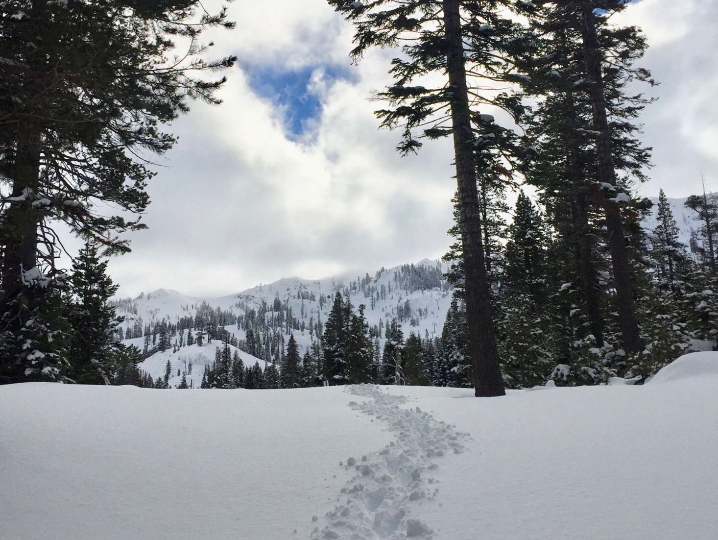 Just behind the cabin is a creek that leads to a swimming pond; or, enjoy hiking and skiing, depending on the season.
