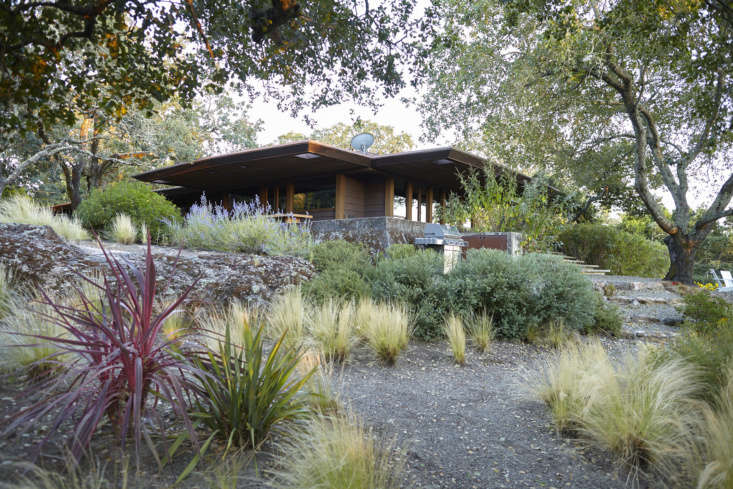 The Midcentury Petal House Remodelista CoFounder Janet Hall at Home in Napa portrait 6