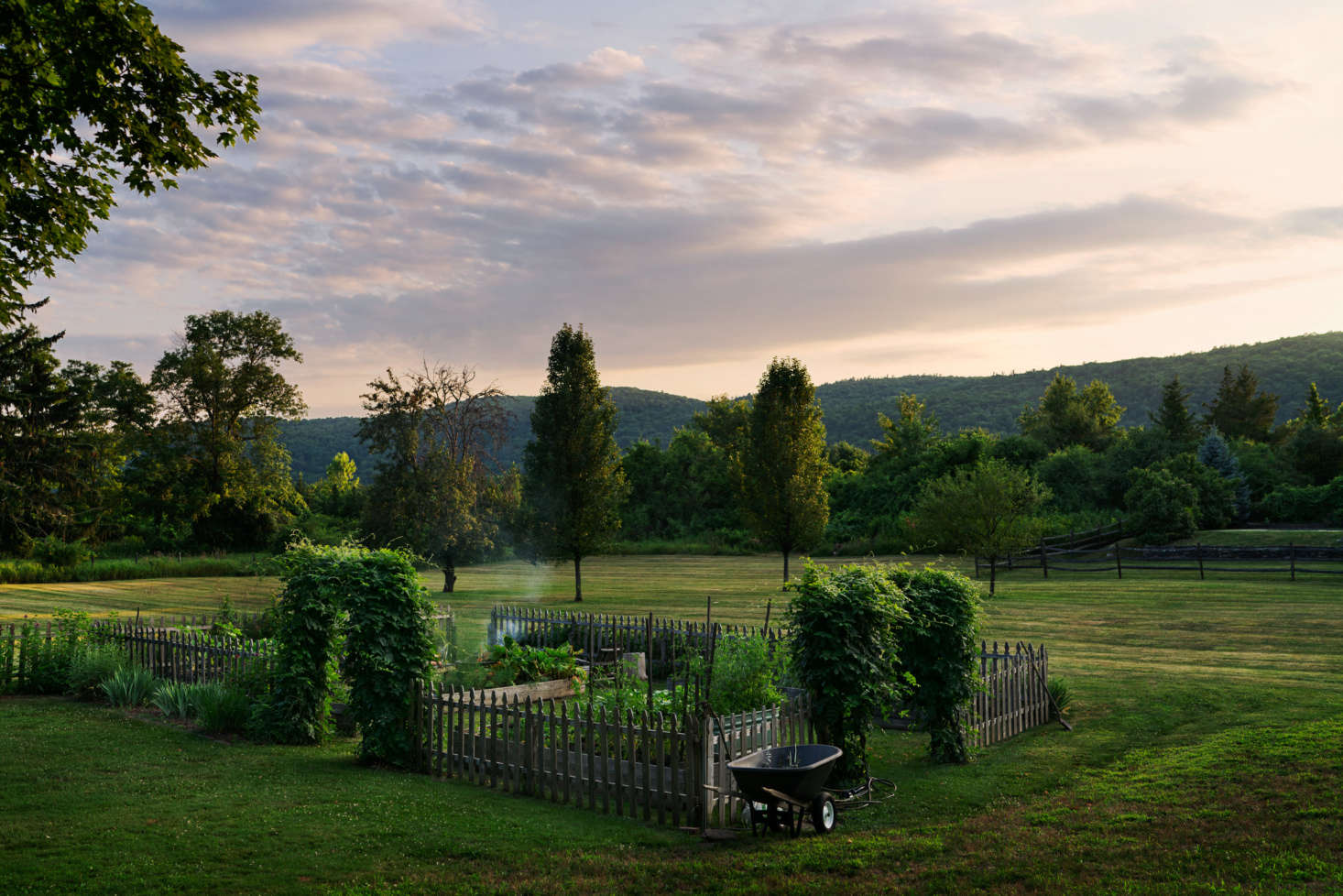 Two ivy-covered trellises lead to the family