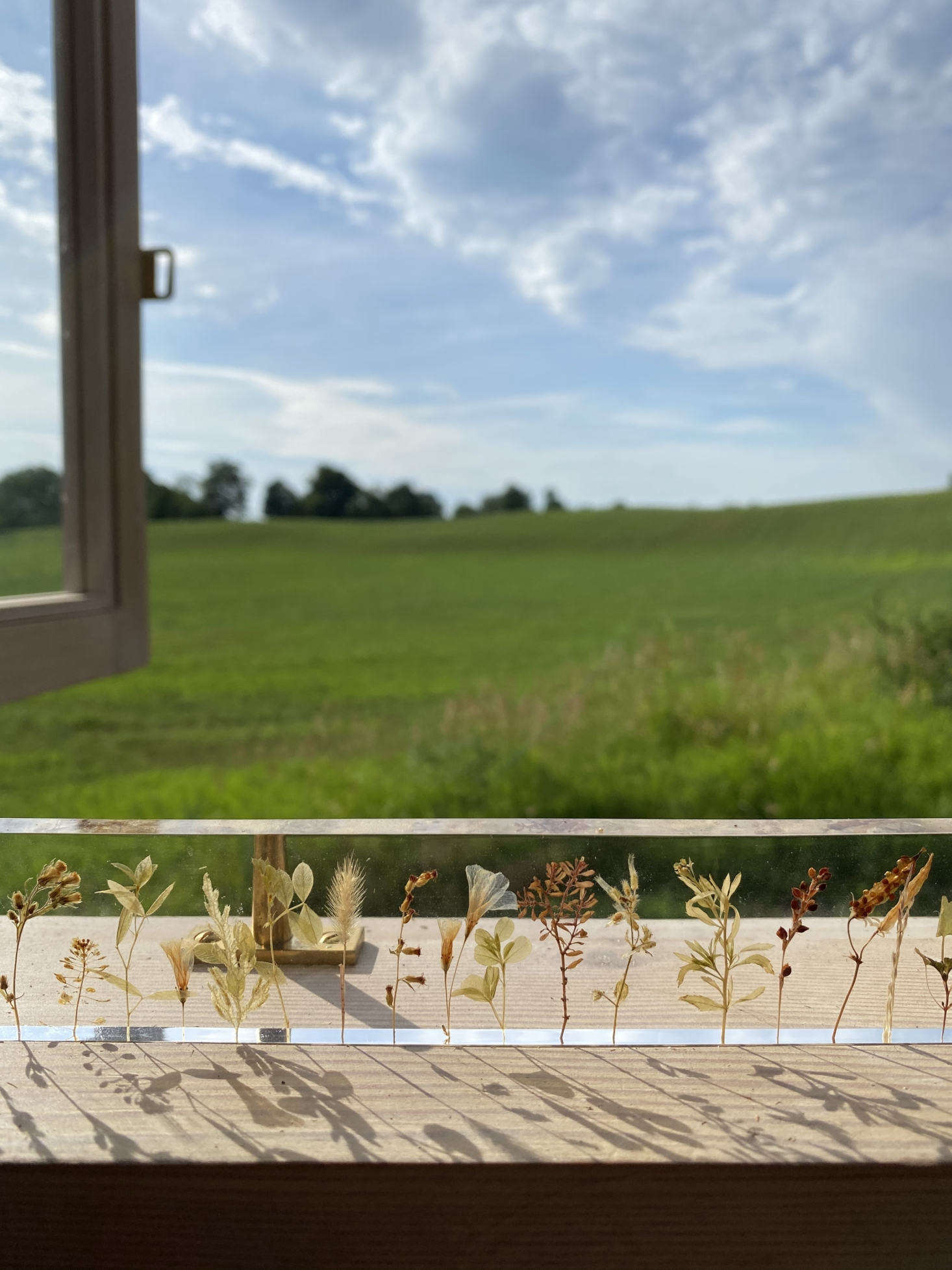 A botanical ornament by Sola Cube of Kyoto adds to the view.