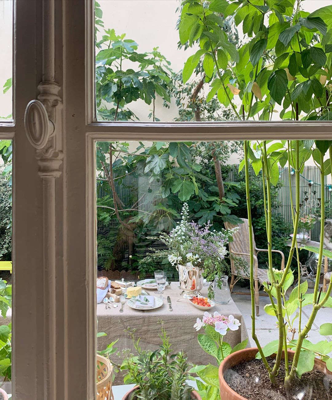 Looking out to the garden.