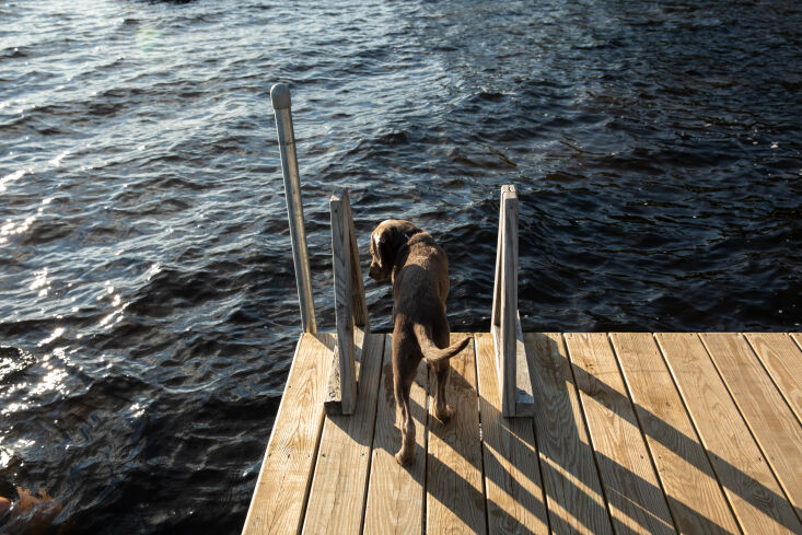 the cabin&#8\2\17;s dock, set for an afternoon swim. 35