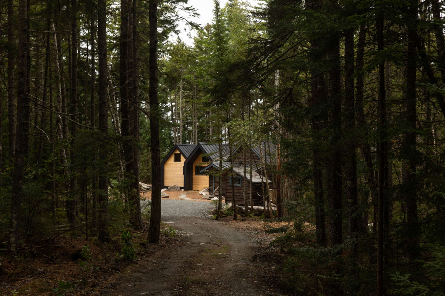 The series of cabins, tucked into the woods.