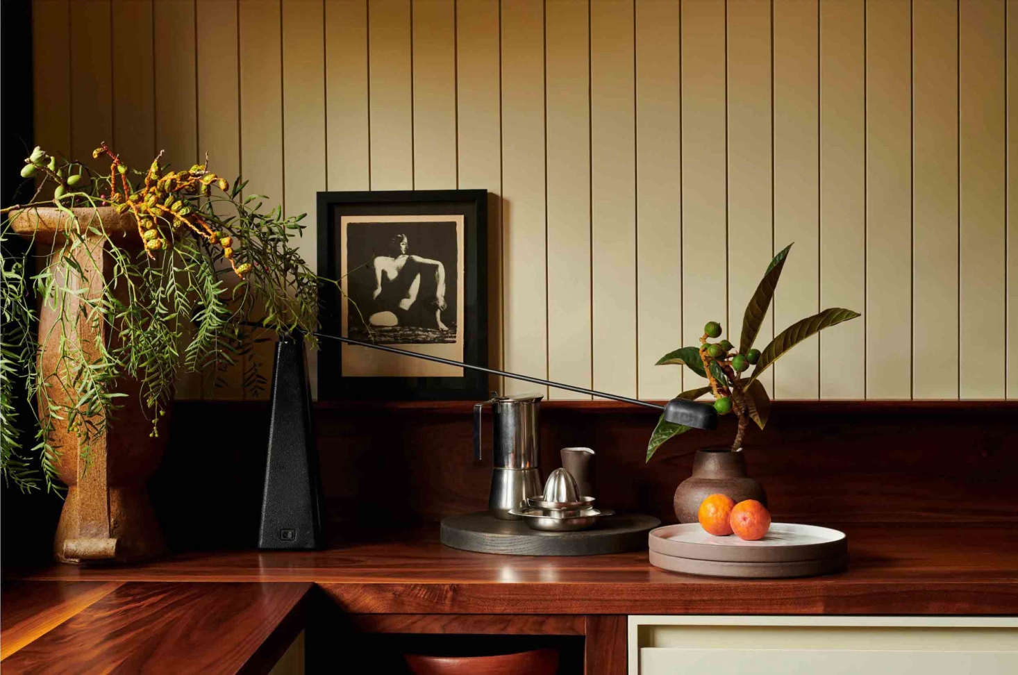 The countertop is a salvaged black walnut slab with an oiled finish.