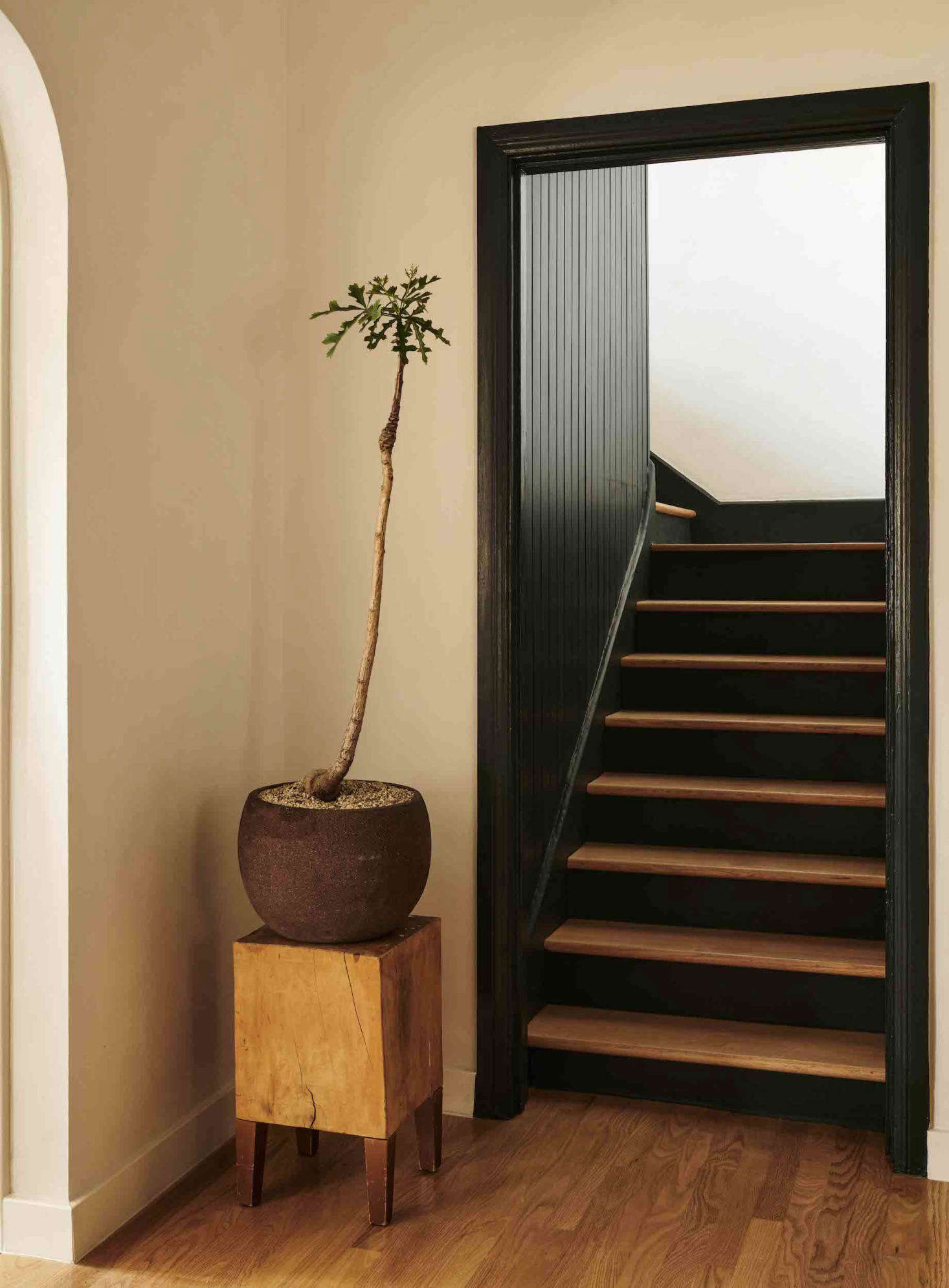 A small artful moment in an unexpected spot, thanks to a funky potted plant and the stool, an antique that once belonged to a now defunct Napa schoolhouse, it rests on. The oak stairs and some of the original oak flooring were salvaged and refinished.